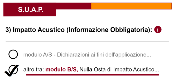 immagine estratta dalla procedura SCIA online per l'impatto acustico